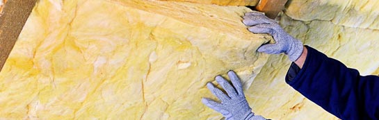 quotes for Raw Green roof insulation