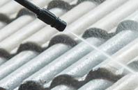 rated Raw Green roof cleaning companies